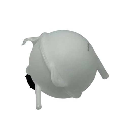 Vase d'expansion de refroidissement pour Territory pour partir en voyage - 5