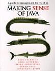 Making Sense of Java: A Guide for Managers and the Rest of Us 1884777244 Book Cover