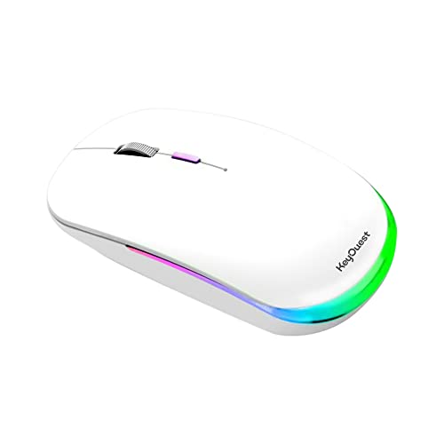 KeyOuest - Souris sans Fil Hybride - Souris Optique pour Droitiers et Gauchers, 3 Boutons, 1200 Dpi - Compatible PC et Mac, 2 Nano-Récepteurs USB et USB-C - Blanc
