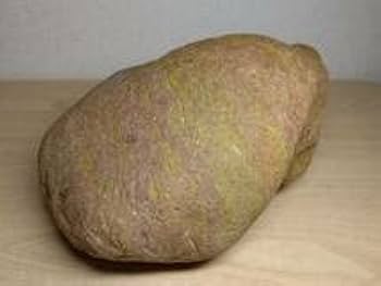 Amazon.co.jp: 赤黄玉4845g 土岐石 ジャスパー 原石 碧玉 風水 開運