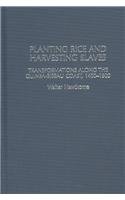Hardcover Planting Rice and Harvesting Slaves Book