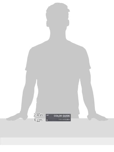 Amazon | DIC フランスの伝統色 第6版 | 配色カード・カラー