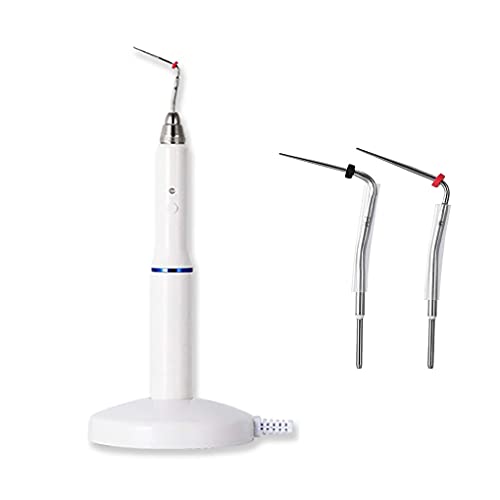 Stylo d'obturation de canal radiculaire d'endodontie sans fil, stylo d'obturation dentaire avec base de chargement avec 2 embouts