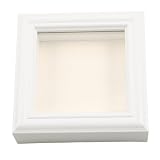 Cabilock Insektenvitrine mit Transparentem Deckel, 10x10cm Sichtfenster
