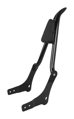 Sissy bar Rebel 1100 avec porte-bagages détachable pour moto Honda CMX1100 2021-2023