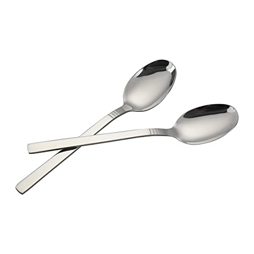 Morcte Stainless Steel Dessert Spoons, 12-Piece Teaspoon #TOP6