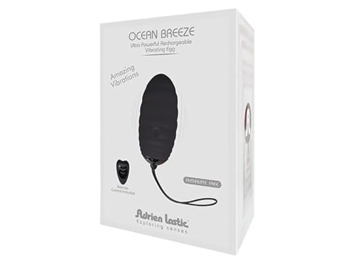 Oeuf vibrant rechargeable Ocean Breeze 2.0 télécommande noir