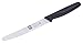 ICEL 4.25 Inch Serrated Edge Steak Knife, High Carbon German Stainless Steel Razor Sharp Blade, Textured Non-Slip Black Polypropylene Handle
