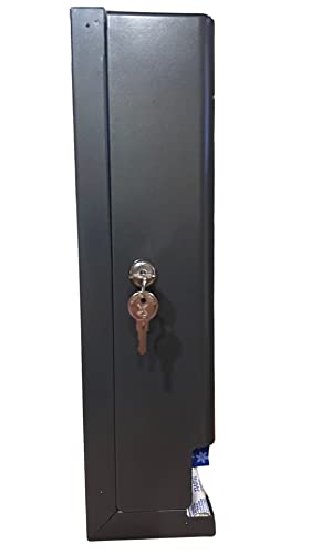 Image of GG Golden Group INTERNATIONAL Tampon & sanitary napkin free vending dispenser for public restroom, steel cabinet with lock, wall mountable, gray SD9000GY