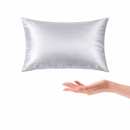 Seward 100% Mulberry Silk Travel Pillow (Gray)
