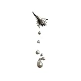 Pendientes largos únicos con borlas de caracola - Pendientes colgantes de plata con concha for mujer(One)