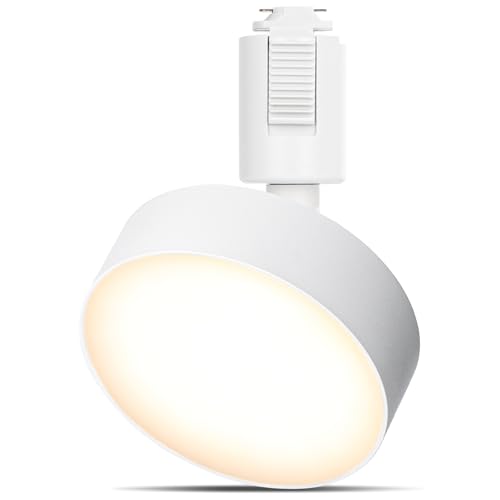 Ɩ _Ng[pCg X|bgCg ̌^ LED  100W` 925lm dF GT-GD-10YW CeBO[p ԐڏƖ VƖ _CjO rO Lb` px tȒP ȃGlyzCgz