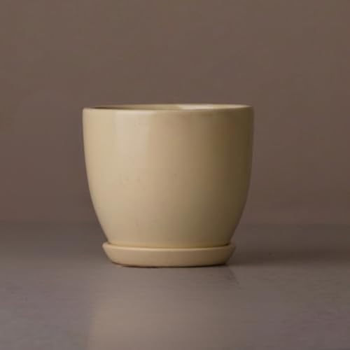 Image of Ceramic Plant Pot with Tray for Indoor Plants, Bonsai, Gift | Ceramic Planter for Living Room, Home & Office Decor (Set of 1, 5 Inches Big Plant Pot, Off-White)