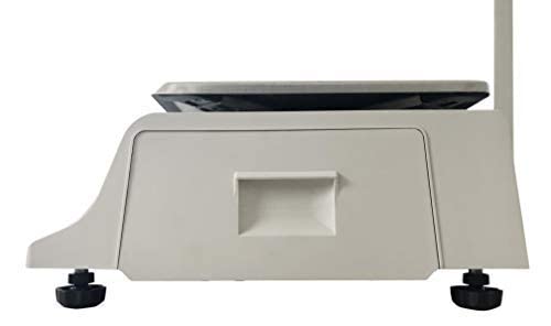 Visiontechshop Dlp-300 Label Printing Scale Pole Display, 30/60Lbs Capacity, 0.01/0.02Lbs, Ntep Legal For Trade With A Free 1 Case Cas Lst-8040 Upc/Safe Handling Label, 58 X 60 Mm #TOP6