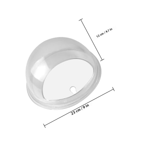 Aquarium mural en acrylique transparent suspendu pot fleur rond