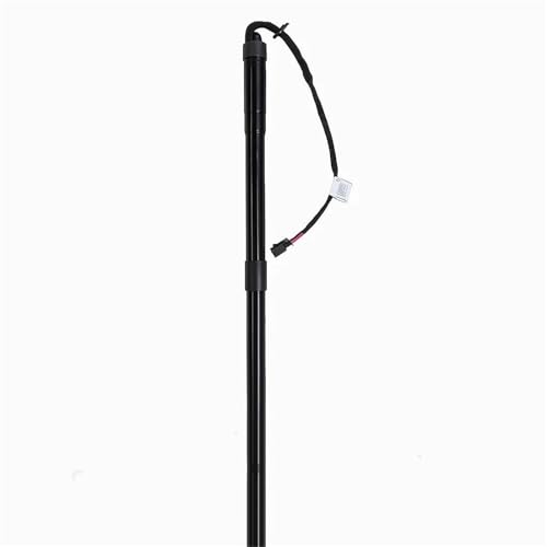 車のテールゲートストラット 6892009010 ペア 電動テールゲート ガスサポートストラット に適合するRAV4 2.0 2.2 2.5 2013-2016 689100R051(LH)