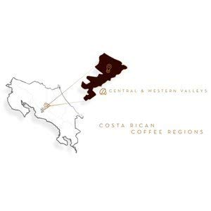 Café Britt® - Costa Rican Dark Roast Coffee (12 oz.) - Ground, Arabica Coffee, Kosher, Gluten Free, 100% Gourmet & Dark Roast (1 Year Shelf-Life)