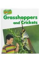 Grasshoppers and Crickets 0817255907 Book Cover