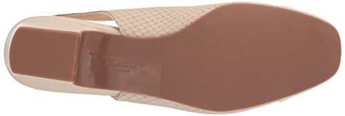 Image of Trotters