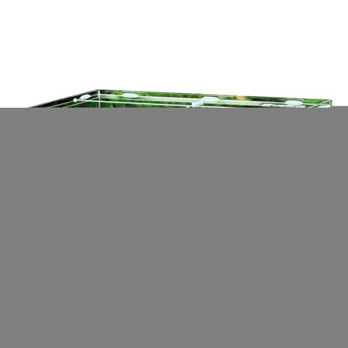 Réservoir de terrarium acrylique pour reptiles - Grande consommation - Boîtier transparent - Grand récipient | Boîte d'habitat d'élevage - Visualisation des enclos pour araignées, lézards, grillons