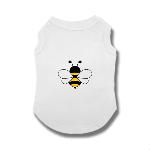 [XZVGJ] ybg  tVc Ȑ Ȃ ʋC t H _炩 Vc  L  킢 ^ ^ pW} Lm _炩 ̕ Ȃ lC  t@bV ʋC ₩ 4XL