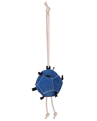 Equiland Pferdespielzeug Ball, Möhrenball, Beschäftigung und Spielzeug für Pferde | Futterspielball | | Stressabbau | Leckerli-Ball (Pink)