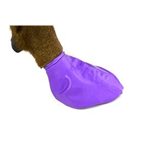Pawz Dog Boots Disposable, Reusable, Waterproof Set Of 12 Color: Purple Size: Large Pack Of 2 #TOP1