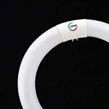  Ey `uviuj X^[^` QO` NAi`CgiRg`Fj yPO{z FCL20ENC18ZN