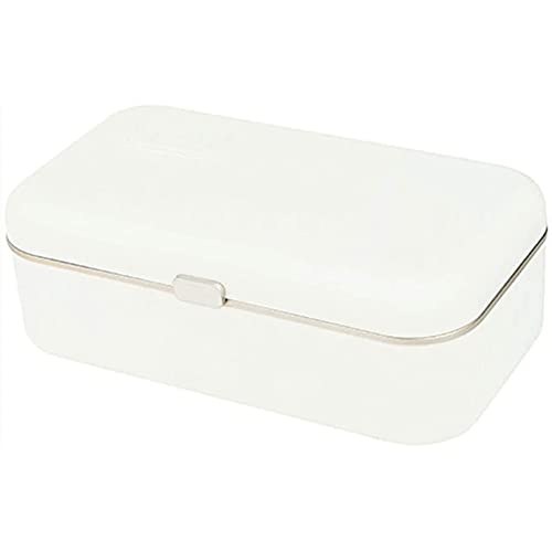 Fiambrera eléctrica con Calentador de Alimentos, Fiambrera portátil para Coche y casa, Recipiente de Acero extraíble, Cuchara y Bolsa de Transporte.