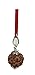 IS4A 5 Face Rudraksha Pendant/ 5 Mukhi Rudraksha Pendant |Certified|