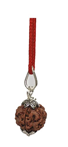 IS4A 5 Face Rudraksha Pendant/ 5 Mukhi Rudraksha Pendant |Certified|3