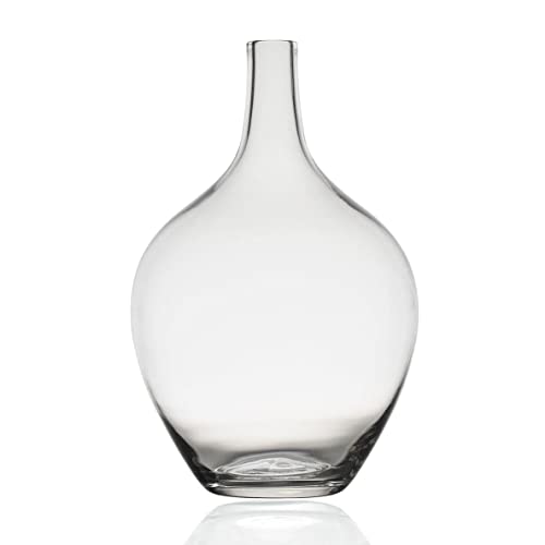 Klarglasvase Ballonvase Glas Glasflaschen Glasvase Große Glasblumenvase für Moderne Heimdekoration,Innendekoration,groß Cover