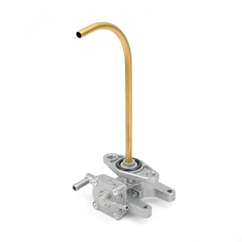 Grifo de purga de combustible contra fugas en modelos F 650 de 2006 a 2013