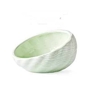 NC Pet levert kat kom hond kom beschermende wervelkolom eettafel hoge voet grote schuine mond platte gezicht kat kom…