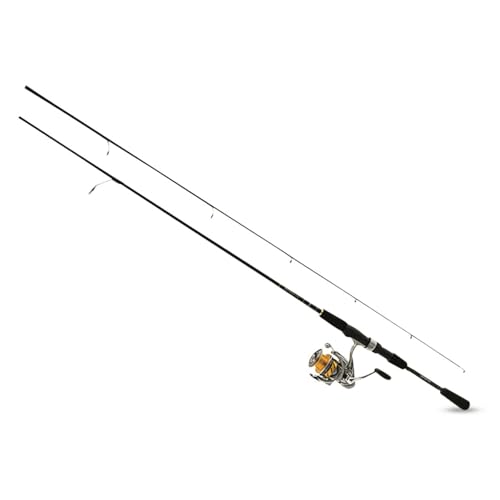 Daiwa Revros LT