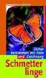 foto schmetterling kostenlos  Schmetterlinge: Sicher bestimmen mit Foto und Zeichnung