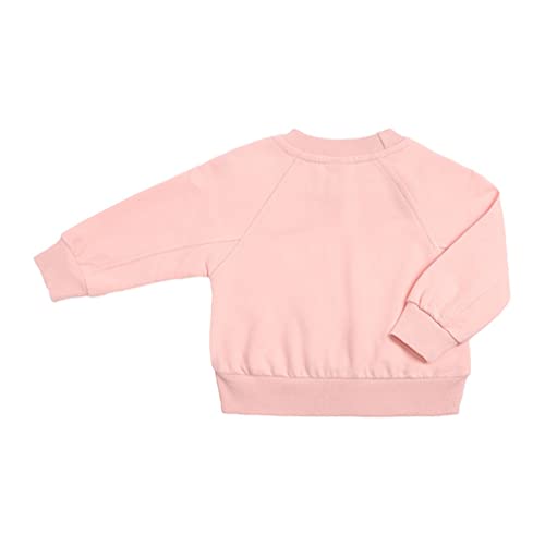 LNICEAR Toddler Boys Girls Clothes Set Kids Long Sleeve Crewneck Loose Sweatshirt Athletic Shorts Set Tracksuits Outfits3