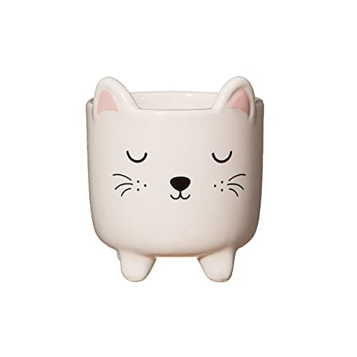 Sass & Belle Mini maceta para gatos con patas