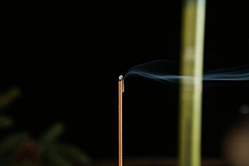 Philogod 200 Incense Sticks,Sandalwood,Wormwood, Cypress,Agarwood,100% Natural Free Of Nasty Chemicals,Herbal Incenses For Homeopathy #TOP2