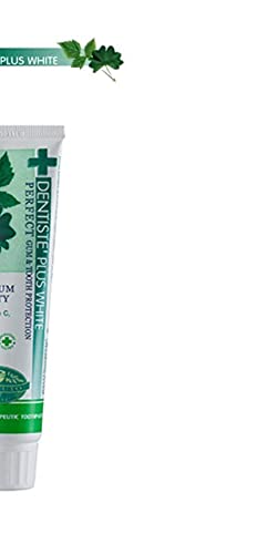 Dentiste Nighttime Toothpaste Gum Teeth Protection 100G #TOP2