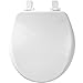 Slow Close Round White Enameled Wood Toilet Seat