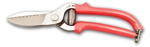 Due Buoi Cesoie Forgiate Da Calzolaio/Cuoio Lama Seghettata