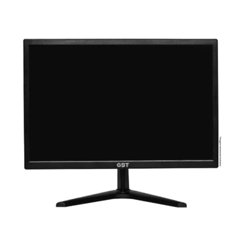 Monitor LED GBTM19B 19
