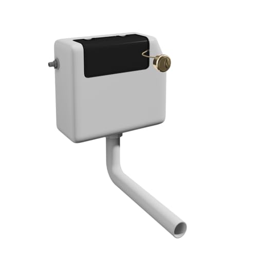 Affine® Concealed Dual Flush Toilet Cistern Only with Brushed Brass Push Button Water Saving 6/4L for Floorstanding Pans Side Inlet