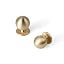 Brushed Brass