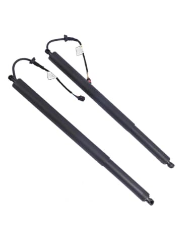 Support levage hayon électrique défectueux : solution 81841S1100 Santa Fe