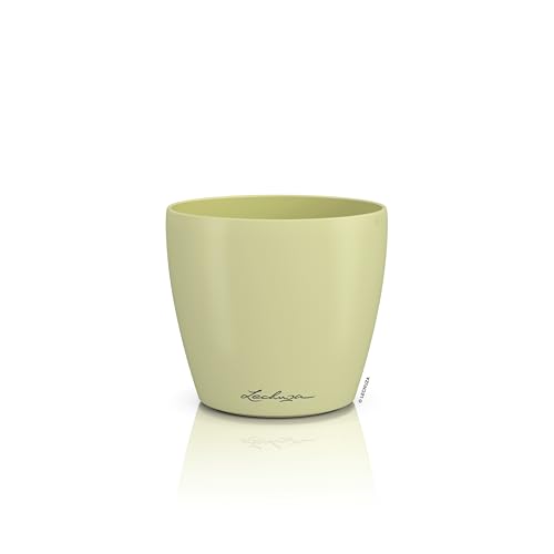 Lechuza - Recipiente de Mesa Classico Color 12 Deco Linde, Superficie Mate, diámetro 13 x 12 cm, 16673
