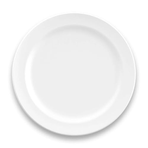 ターホン(TarHong) エッジマットホワイト ディナープレート 27cm 皿 割れにくい メラミン食器 プラスチック 食洗機対応 ワンプレート おしゃれ 可愛い 軽量 アウトドア キャンプ DN23986576