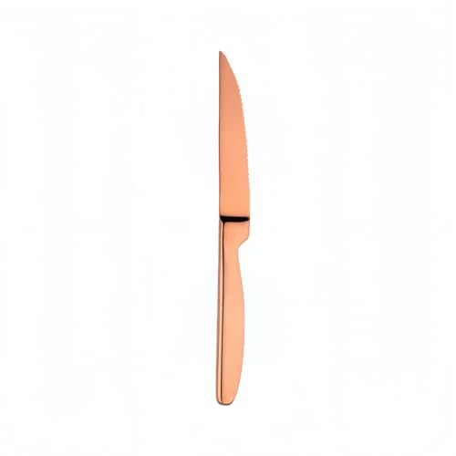 Xe[LiCt 2{Zbg nn9cm I[XeX SUS420| KтɂqI ndl H@Ή ʎdグ 22cm `^bLH FI S[hJ[ ƒpEƖpɓKe[uiCt (gn [YS[h)