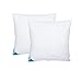 Sandaro Home kopfkissen 80x80 2er Set | federkissen 80 x 80 cm mit 100% natürlichen Federfüllungen nur, federkopfkissen 80x80 Set mit Gänsefedernfüllung im Baumwollbezug Für erholsamen Schlaf (1500)